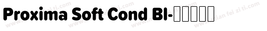 Proxima Soft Cond Bl字体转换